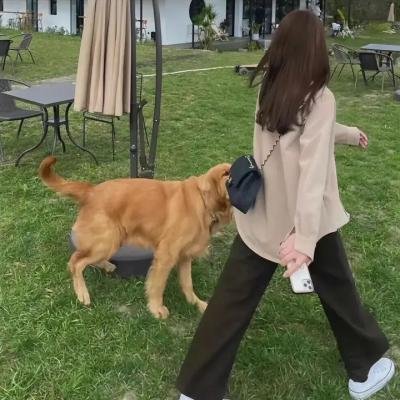 花开总有时